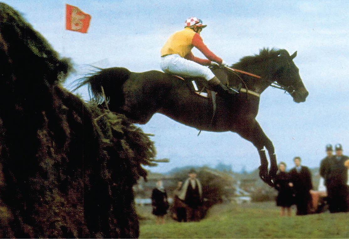 Crisp and Sir Chester, The Story of Australia’s Greatest Steeplechaser - Image 2