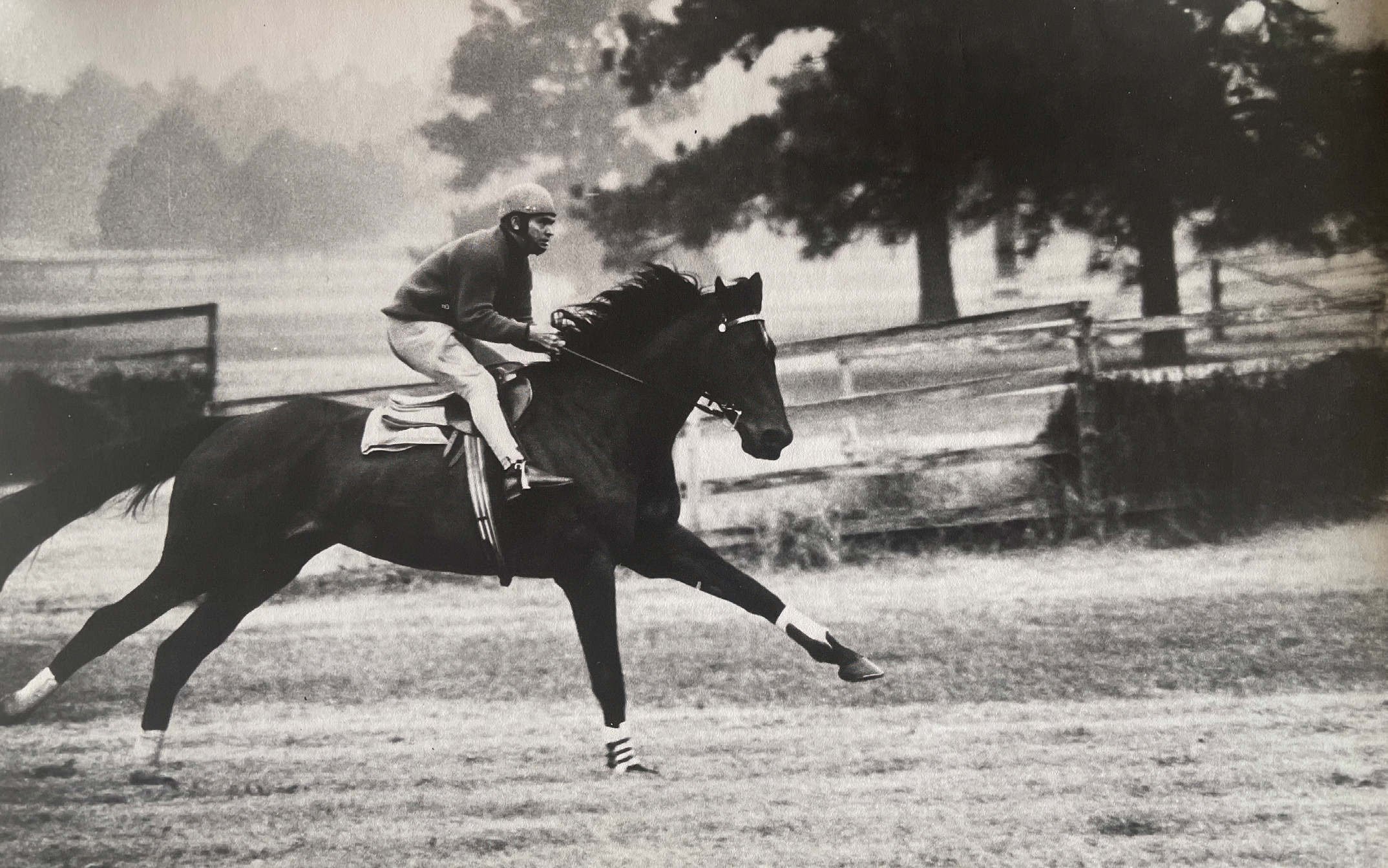 Crisp and Sir Chester, The Story of Australia’s Greatest Steeplechaser - Image 3