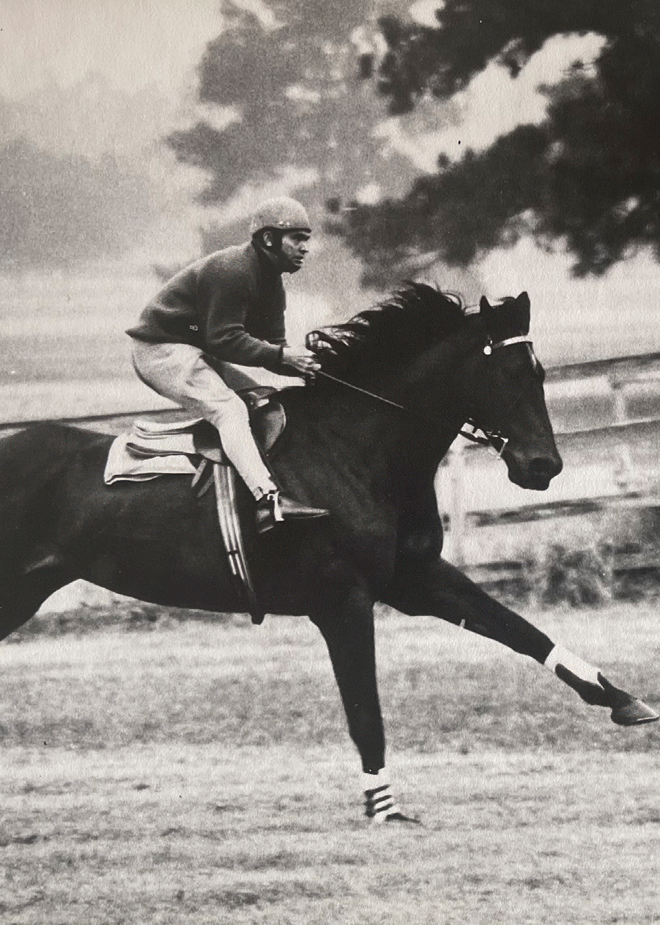 Crisp and Sir Chester, The Story of Australia’s Greatest Steeplechaser